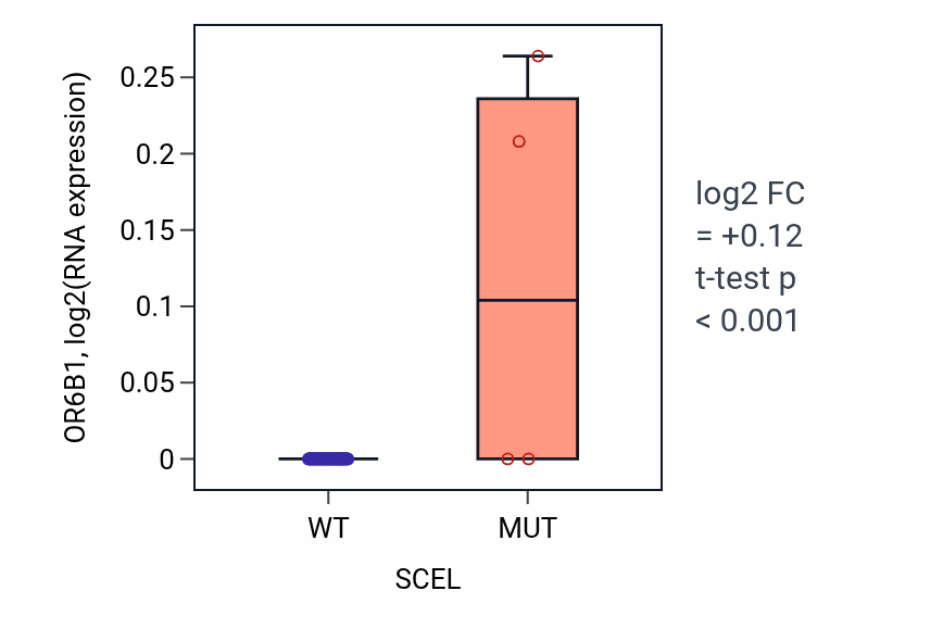 Box plot of OR6B1 in SCEL-low vs SCEL-high samples in SCLC.