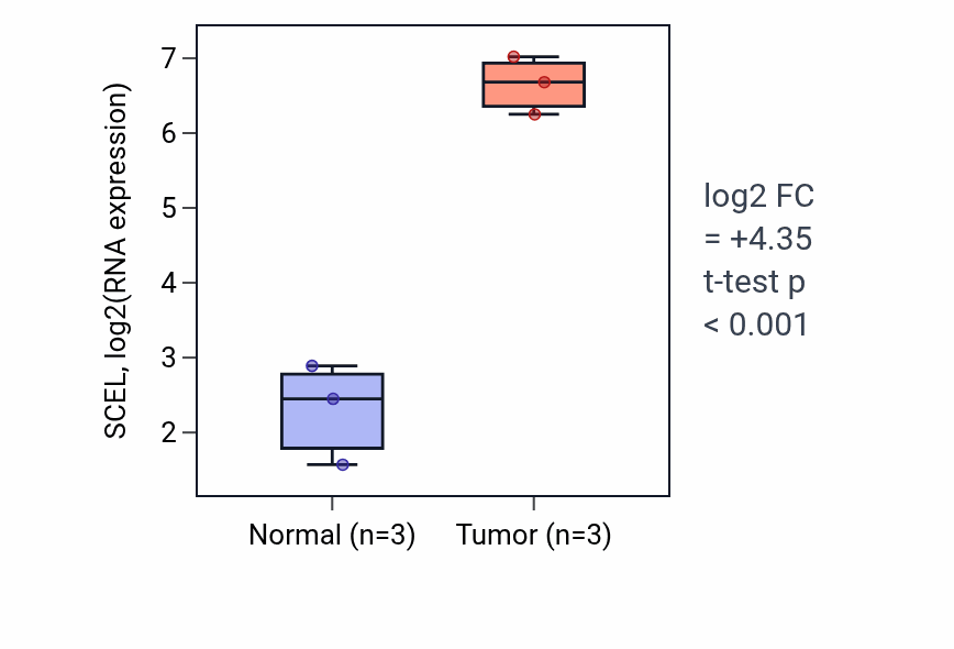 Tumor-vs-normal expression box plot for SCEL RNA in THCA.