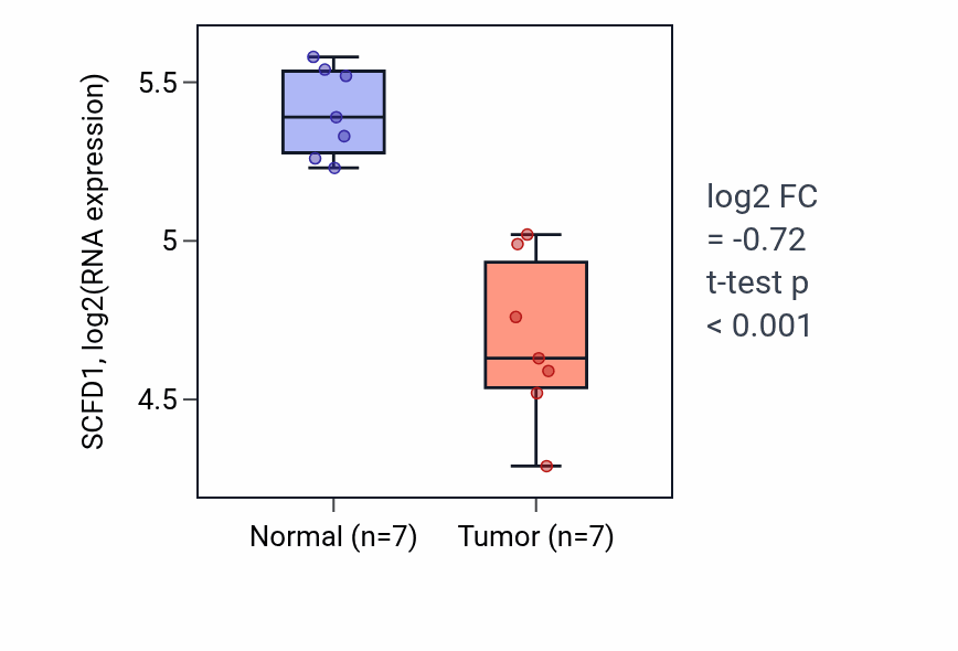 Tumor-vs-normal expression box plot for SCFD1 RNA in THCA.