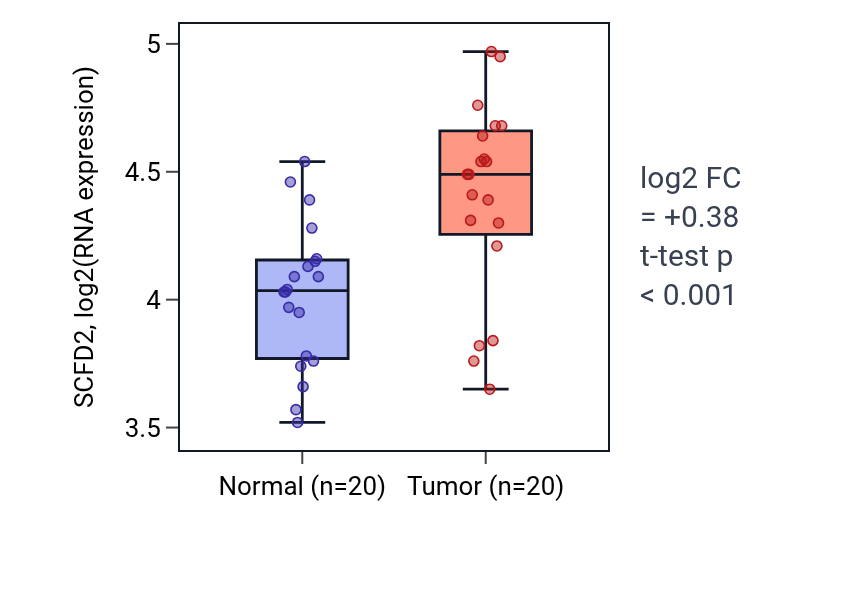 Tumor-vs-normal expression box plot for SCFD2 in KIRC.
