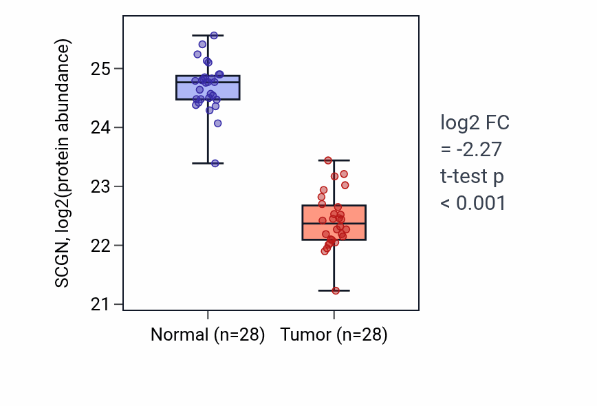 Tumor-vs-normal mass-spec protein box plot for SCGN in COAD.