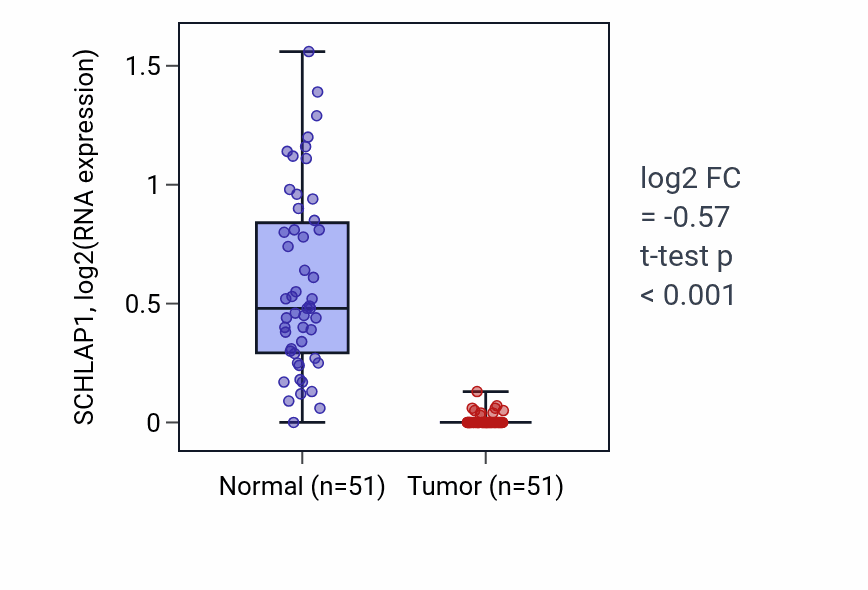 Tumor-vs-normal expression box plot for SCHLAP1 in KIRC.