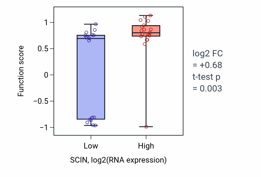 Box plot of Protein transport within lipid bilayer in SCIN-low vs SCIN-high samples in BONE.