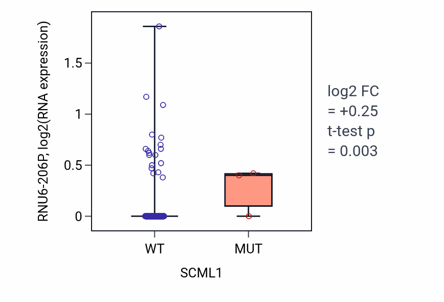 Box plot of RNU6-206P in SCML1-low vs SCML1-high samples in KIRC.