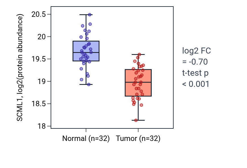 Tumor-vs-normal mass-spec protein box plot for SCML1 in CCRCC.