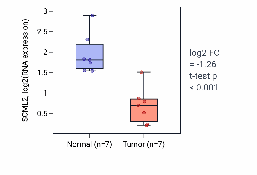 Tumor-vs-normal expression box plot for SCML2 RNA in THCA.