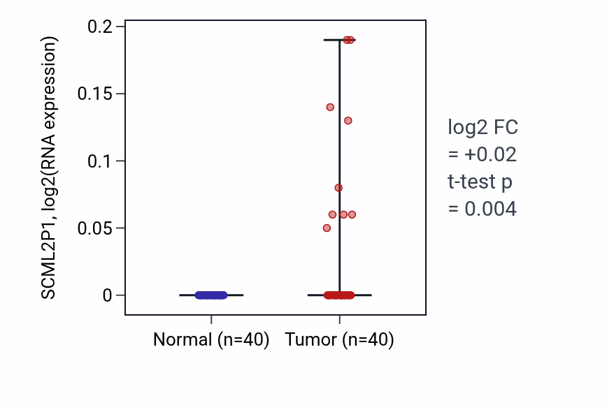 Tumor-vs-normal expression box plot for SCML2P1 in HNSC.