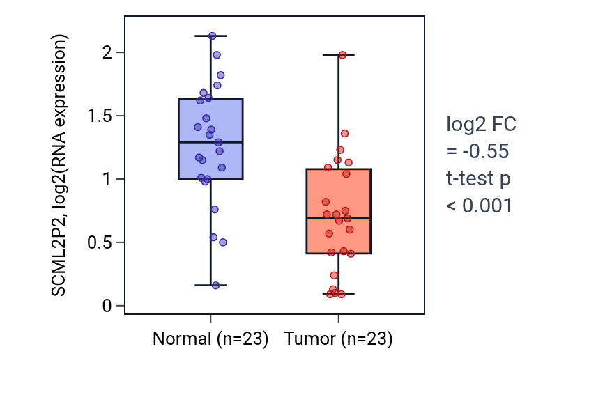 Tumor-vs-normal expression box plot for SCML2P2 in THCA.