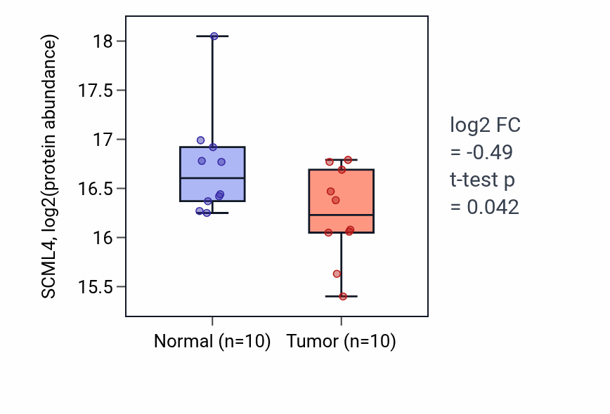 Tumor-vs-normal mass-spec protein box plot for SCML4 in LUAD.