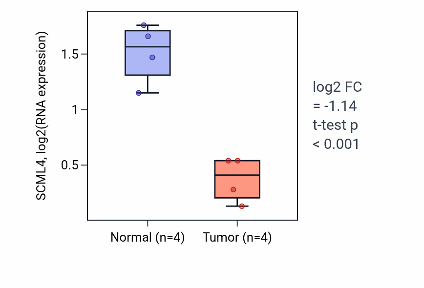Tumor-vs-normal expression box plot for SCML4 RNA in LUSC.