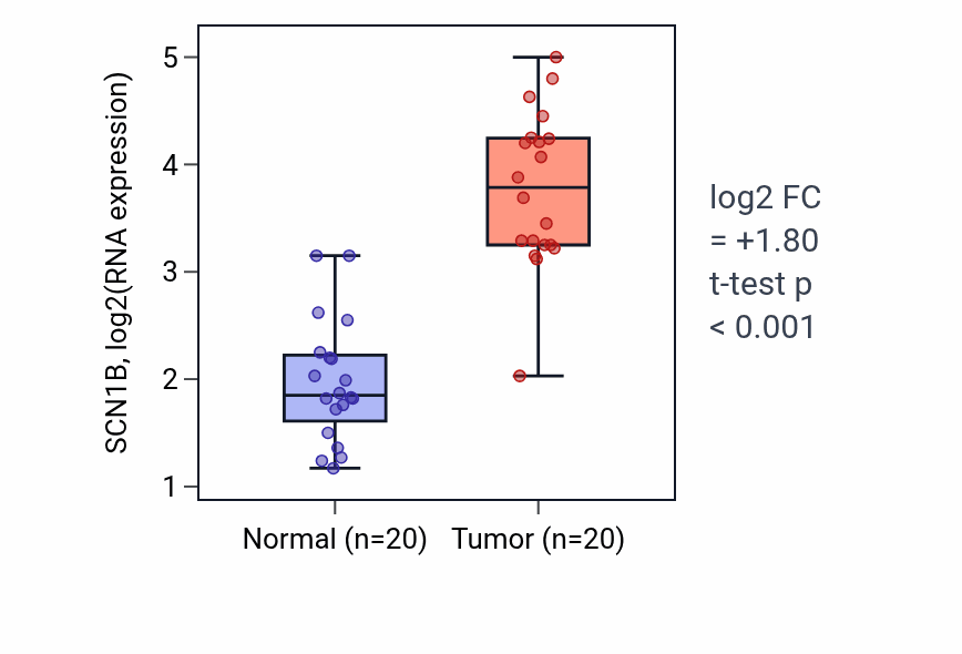 Tumor-vs-normal expression box plot for SCN1B RNA in KIRC.