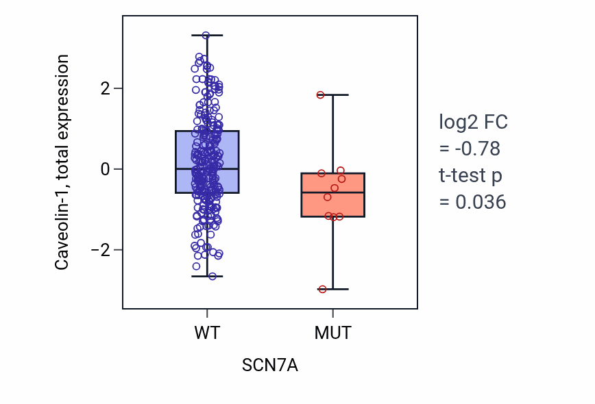 Box plot of Caveolin-1 in SCN7A-low vs SCN7A-high samples in STAD.