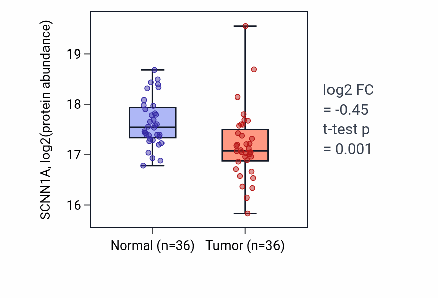 Tumor-vs-normal mass-spec protein box plot for SCNN1A in LUAD.