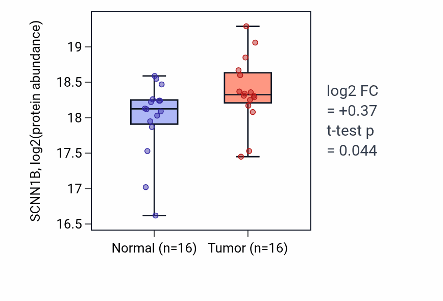 Tumor-vs-normal mass-spec protein box plot for SCNN1B in LUAD.