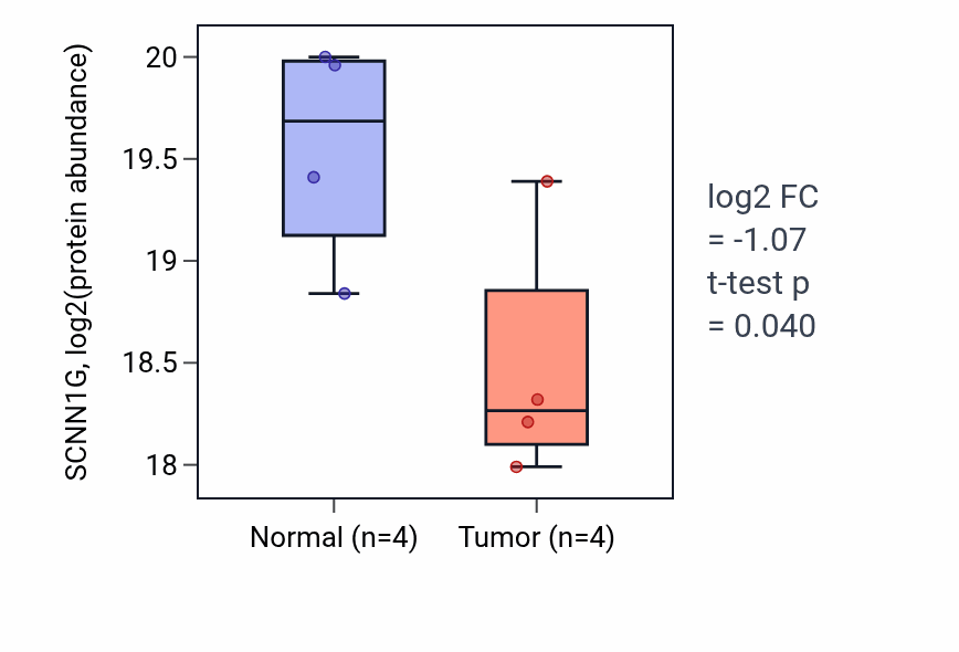Tumor-vs-normal mass-spec protein box plot for SCNN1G in CCRCC.