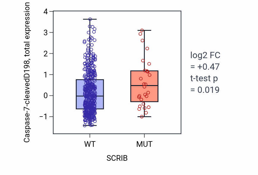 Box plot of Caspase-7-cleavedD198 in SCRIB-low vs SCRIB-high samples in UCEC.
