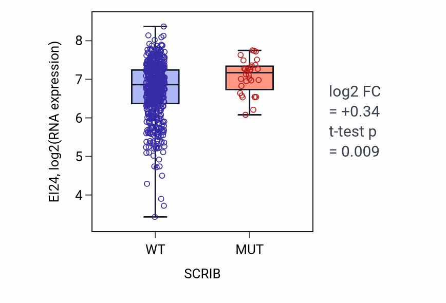Box plot of EI24 in SCRIB-low vs SCRIB-high samples in UCEC.