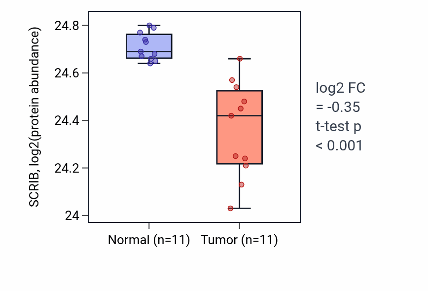 Tumor-vs-normal mass-spec protein box plot for SCRIB in CCRCC.