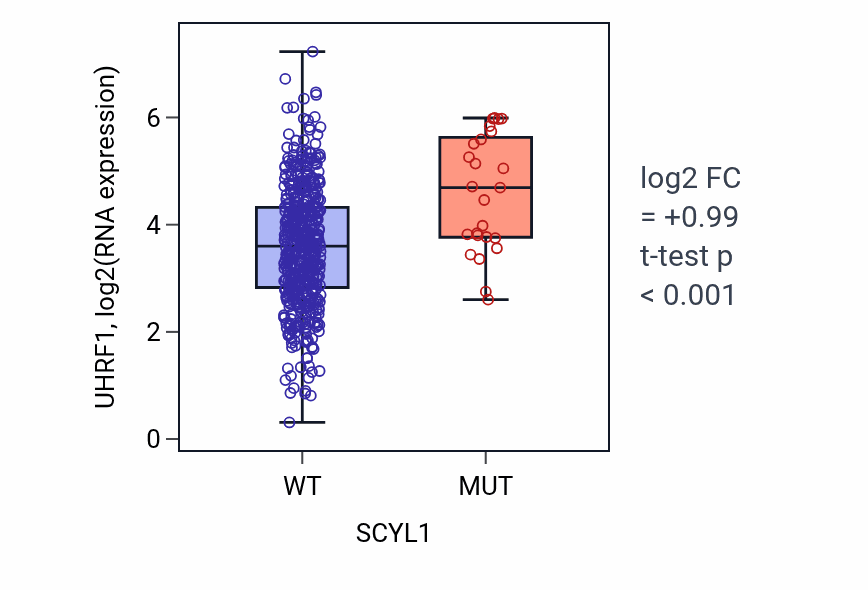 Box plot of UHRF1 in SCYL1-low vs SCYL1-high samples in UCEC.