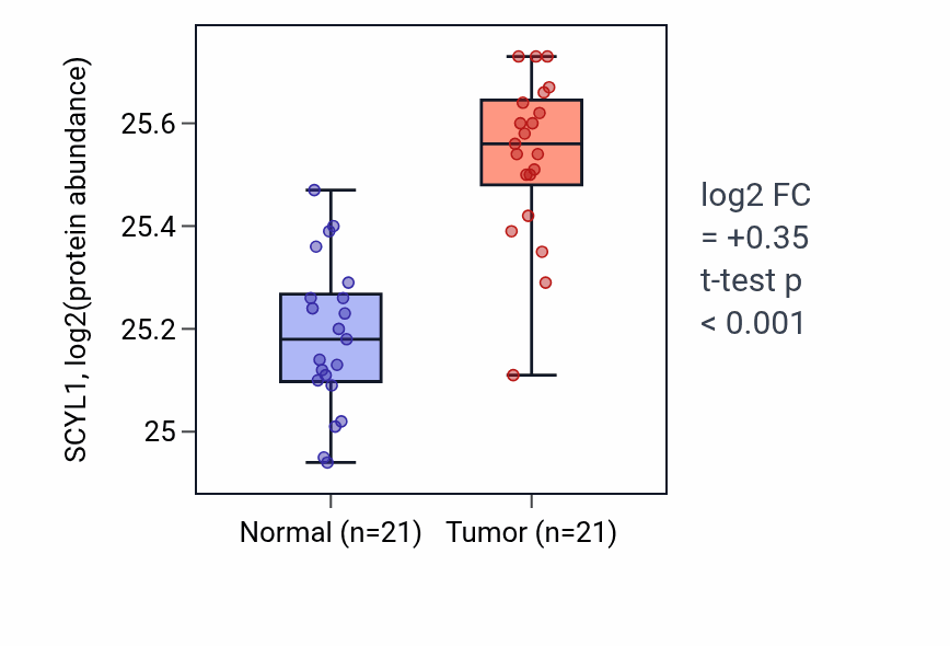 Tumor-vs-normal mass-spec protein box plot for SCYL1 in HNSC.