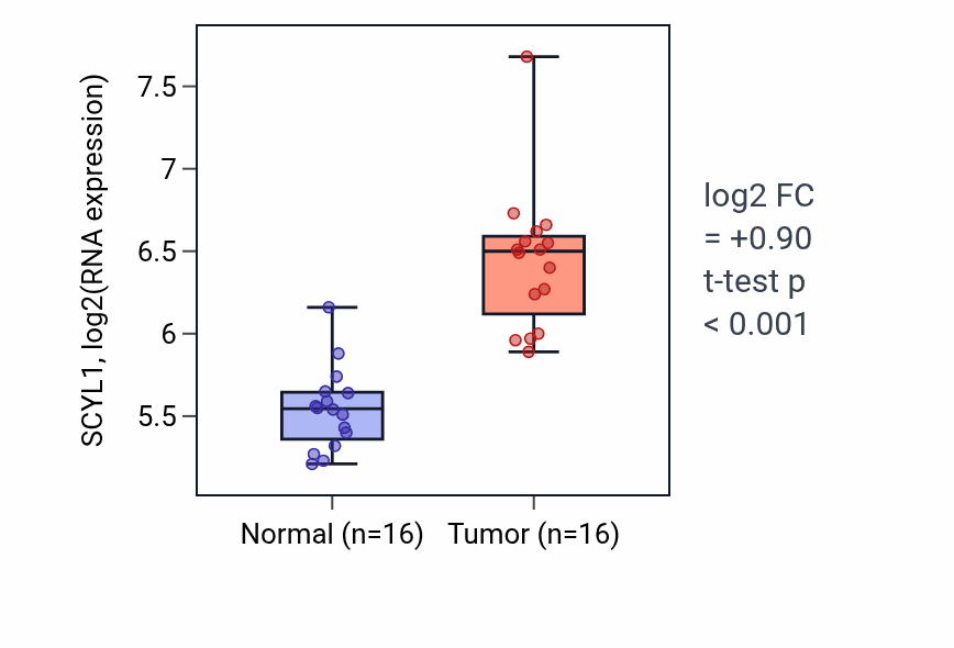 Tumor-vs-normal expression box plot for SCYL1 RNA in HNSC.