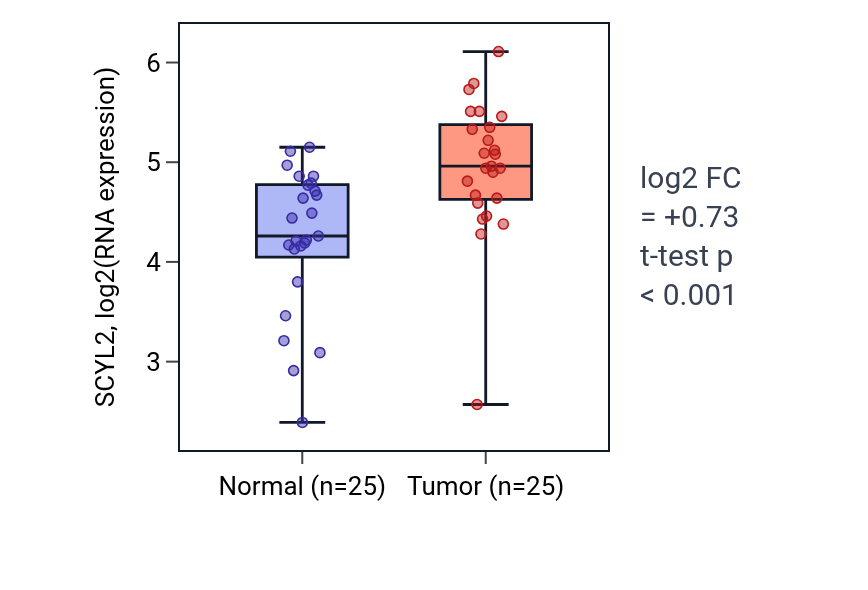 Tumor-vs-normal expression box plot for SCYL2 in HNSC.