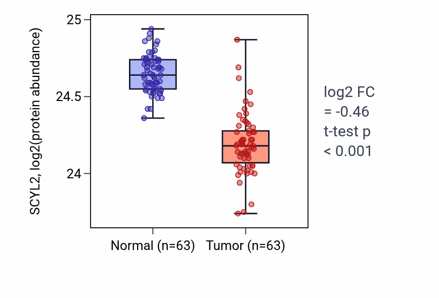 Tumor-vs-normal mass-spec protein box plot for SCYL2 in CCRCC.