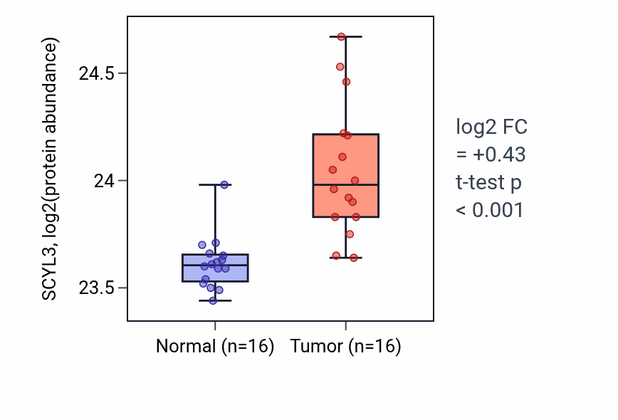 Tumor-vs-normal mass-spec protein box plot for SCYL3 in LUAD.