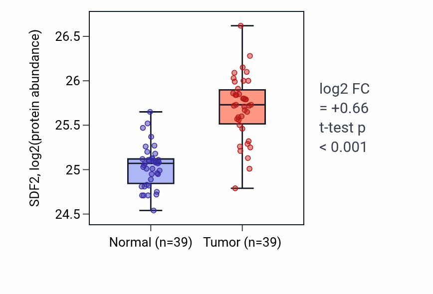 Tumor-vs-normal mass-spec protein box plot for SDF2 in HNSC.