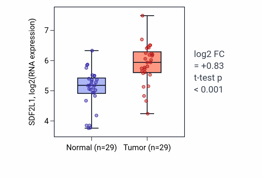 Tumor-vs-normal expression box plot for SDF2L1 RNA in HNSC.