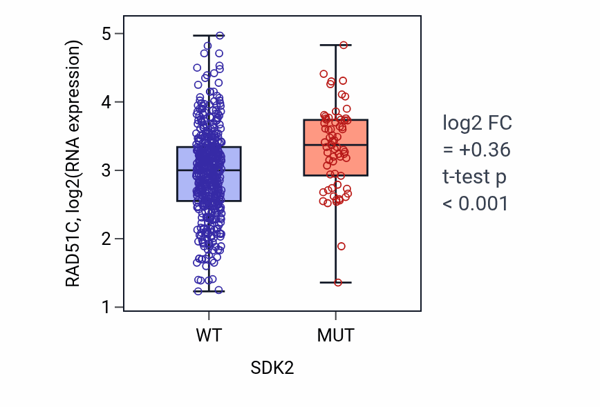 Box plot of RAD51C in SDK2-low vs SDK2-high samples in UCEC.
