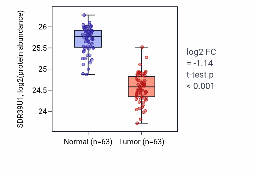 Tumor-vs-normal mass-spec protein box plot for SDR39U1 in CCRCC.