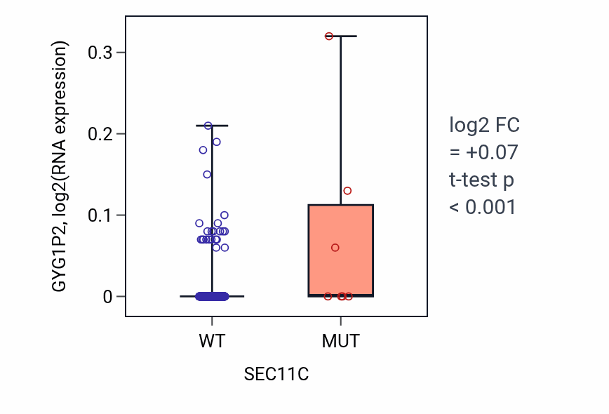 Box plot of GYG1P2 in SEC11C-low vs SEC11C-high samples in SKCM.