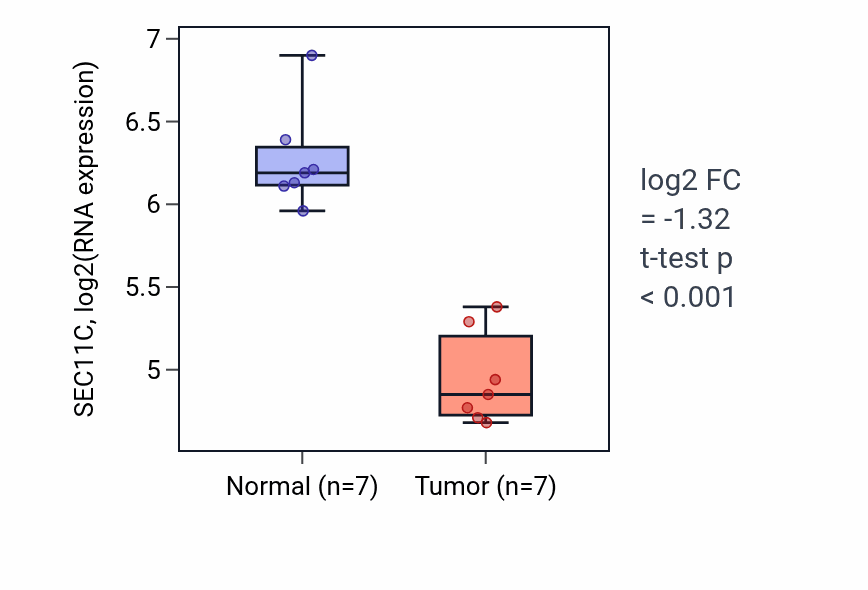 Tumor-vs-normal expression box plot for SEC11C RNA in THCA.