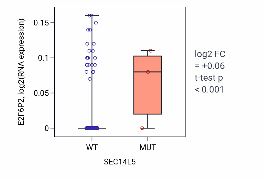 Box plot of E2F6P2 in SEC14L5-low vs SEC14L5-high samples in HNSC.