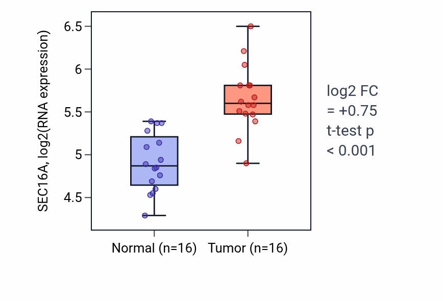 Tumor-vs-normal expression box plot for SEC16A RNA in HNSC.