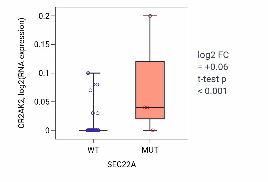 Box plot of OR2AK2 in SEC22A-low vs SEC22A-high samples in OVARY.