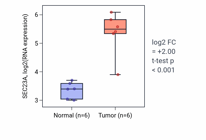 Tumor-vs-normal expression box plot for SEC23A RNA in HNSC.