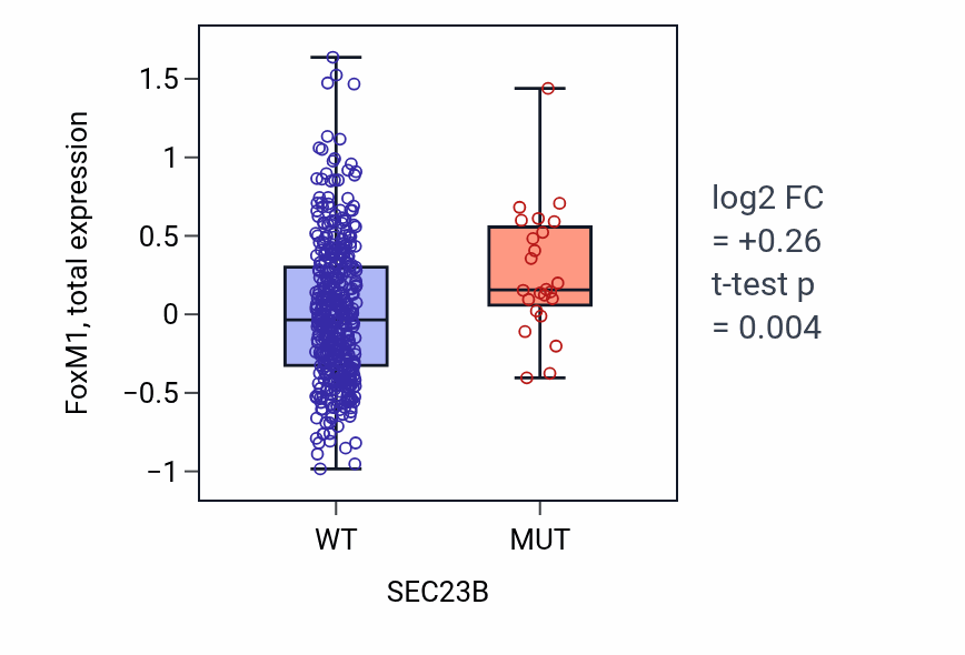 Box plot of FoxM1 in SEC23B-low vs SEC23B-high samples in UCEC.