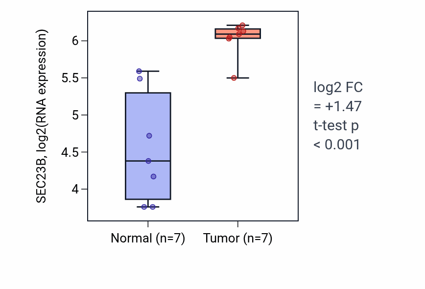 Tumor-vs-normal expression box plot for SEC23B RNA in BLCA.