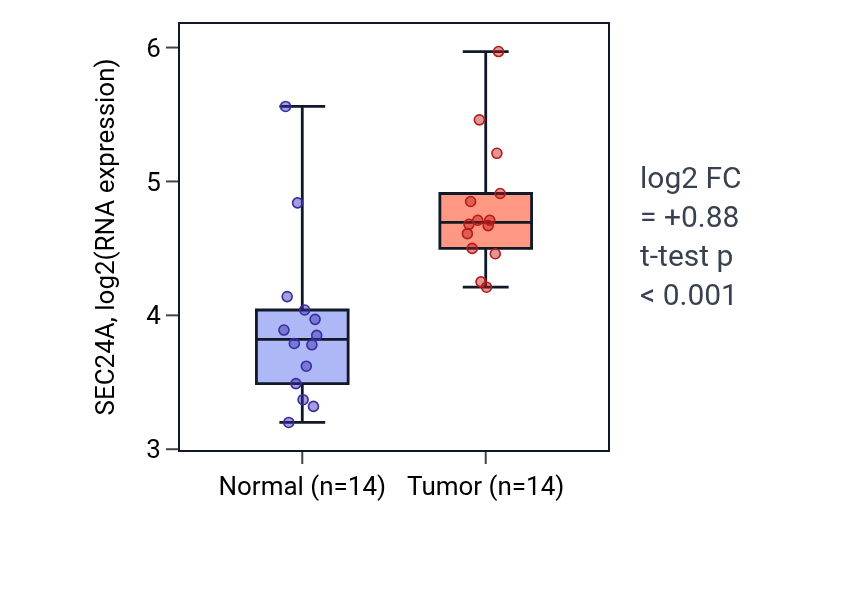 Tumor-vs-normal expression box plot for SEC24A in KIRC.