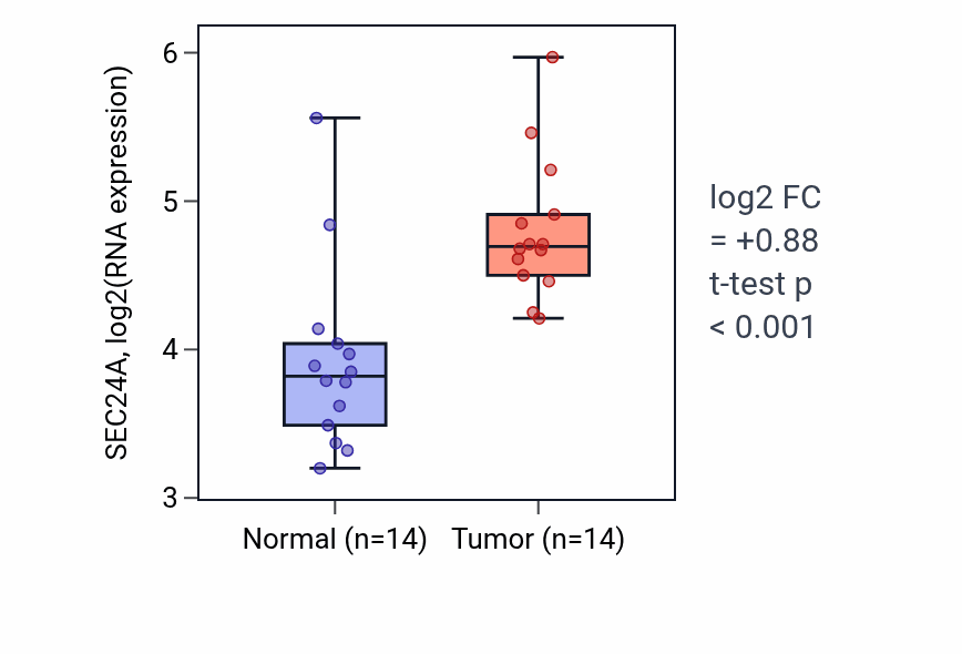Tumor-vs-normal expression box plot for SEC24A RNA in KIRC.