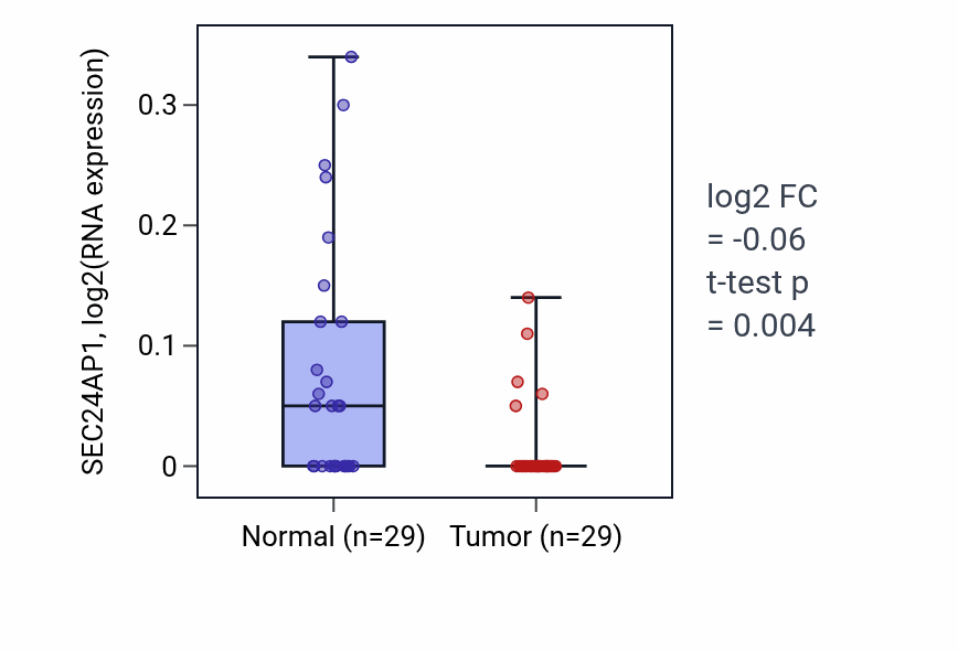 Tumor-vs-normal expression box plot for SEC24AP1 RNA in HNSC.