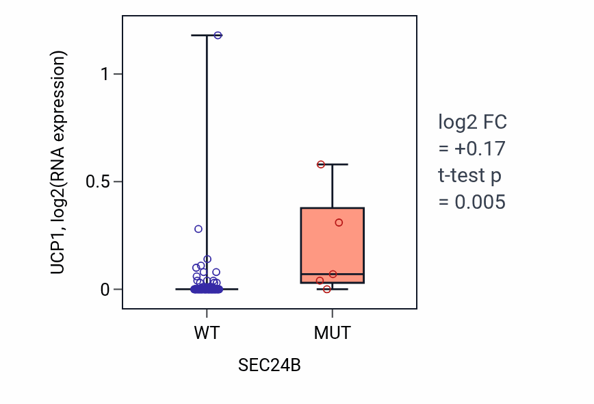 Box plot of UCP1 in SEC24B-low vs SEC24B-high samples in BLOOD_Leukemia.