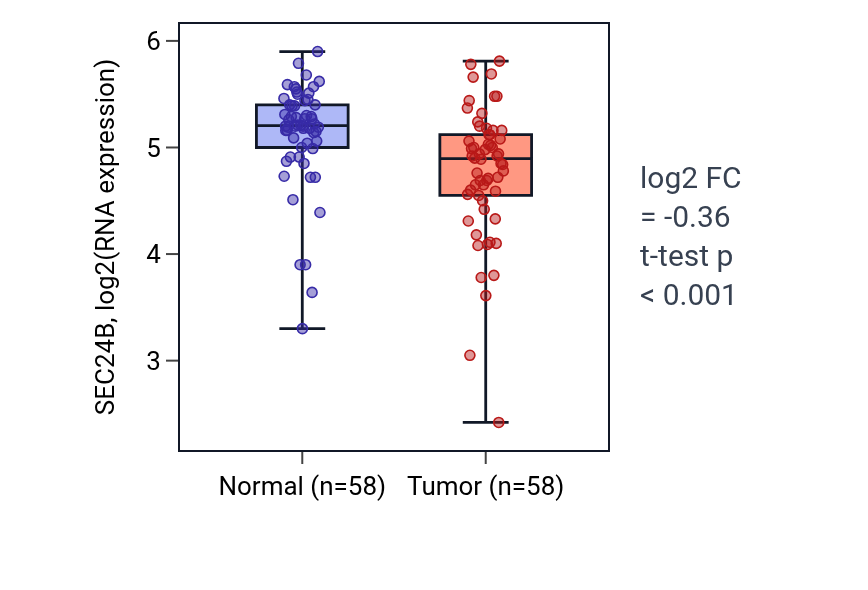 Tumor-vs-normal expression box plot for SEC24B in THCA.