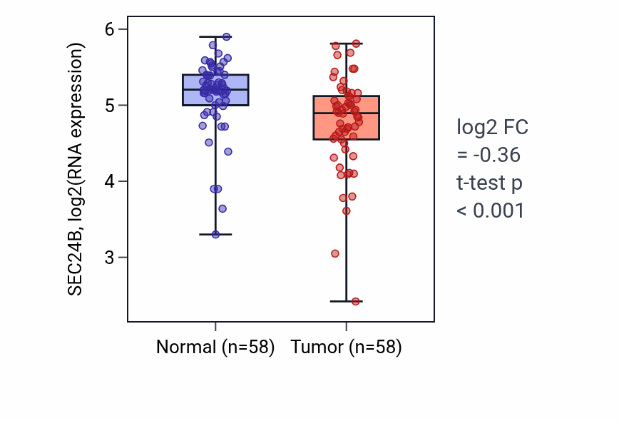 Tumor-vs-normal expression box plot for SEC24B RNA in THCA.