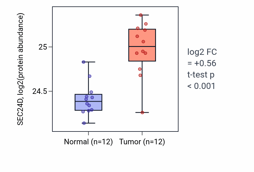 Tumor-vs-normal mass-spec protein box plot for SEC24D in CCRCC.