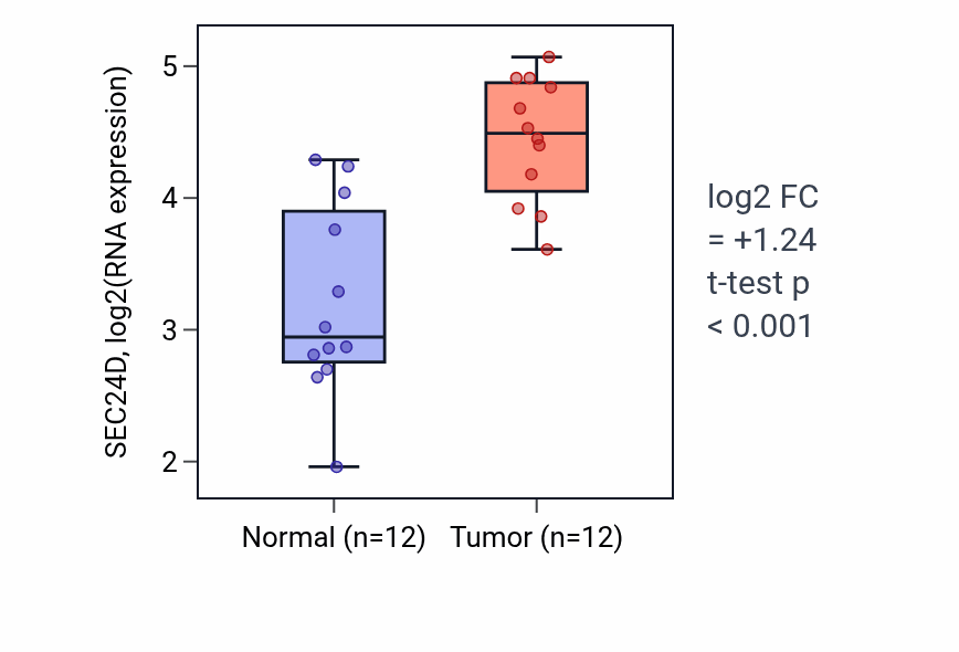 Tumor-vs-normal expression box plot for SEC24D RNA in KIRC.