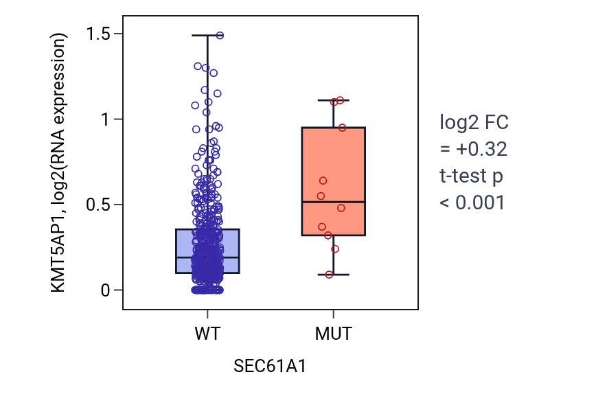 Box plot of KMT5AP1 in SEC61A1-low vs SEC61A1-high samples in COAD.
