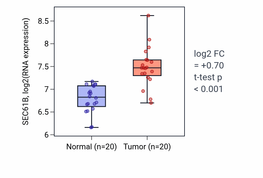 Tumor-vs-normal expression box plot for SEC61B RNA in KIRC.